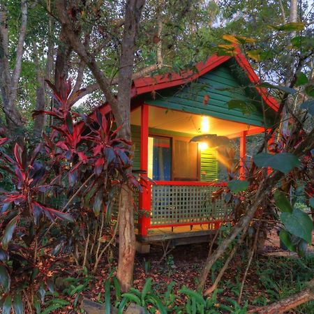 Lake Eacham Tourist Park & Cabins Esterno foto