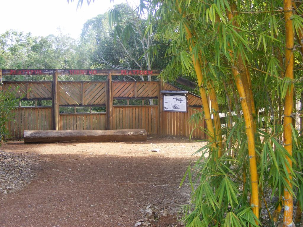 Lake Eacham Tourist Park & Cabins Esterno foto
