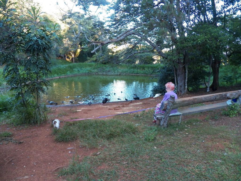 Lake Eacham Tourist Park & Cabins Esterno foto
