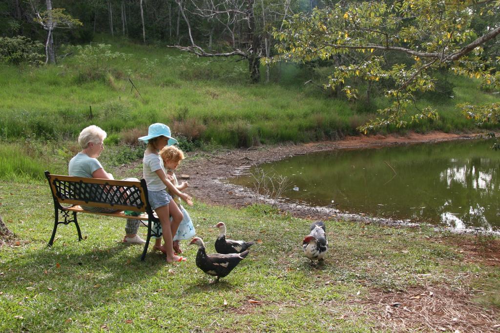 Lake Eacham Tourist Park & Cabins Esterno foto