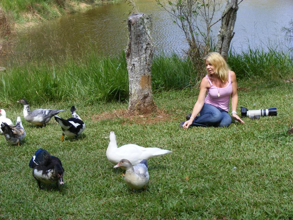 Lake Eacham Tourist Park & Cabins Esterno foto