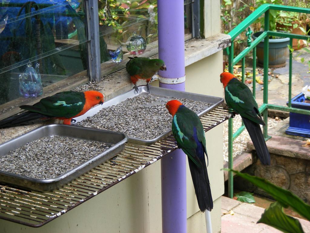 Lake Eacham Tourist Park & Cabins Esterno foto