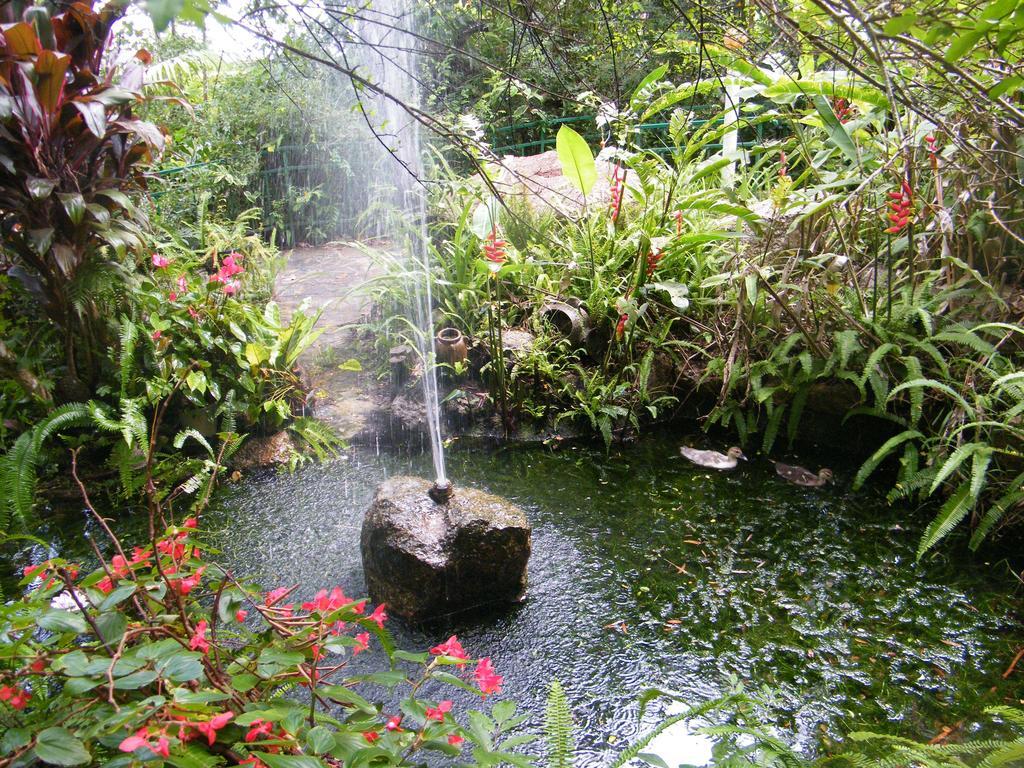 Lake Eacham Tourist Park & Cabins Esterno foto