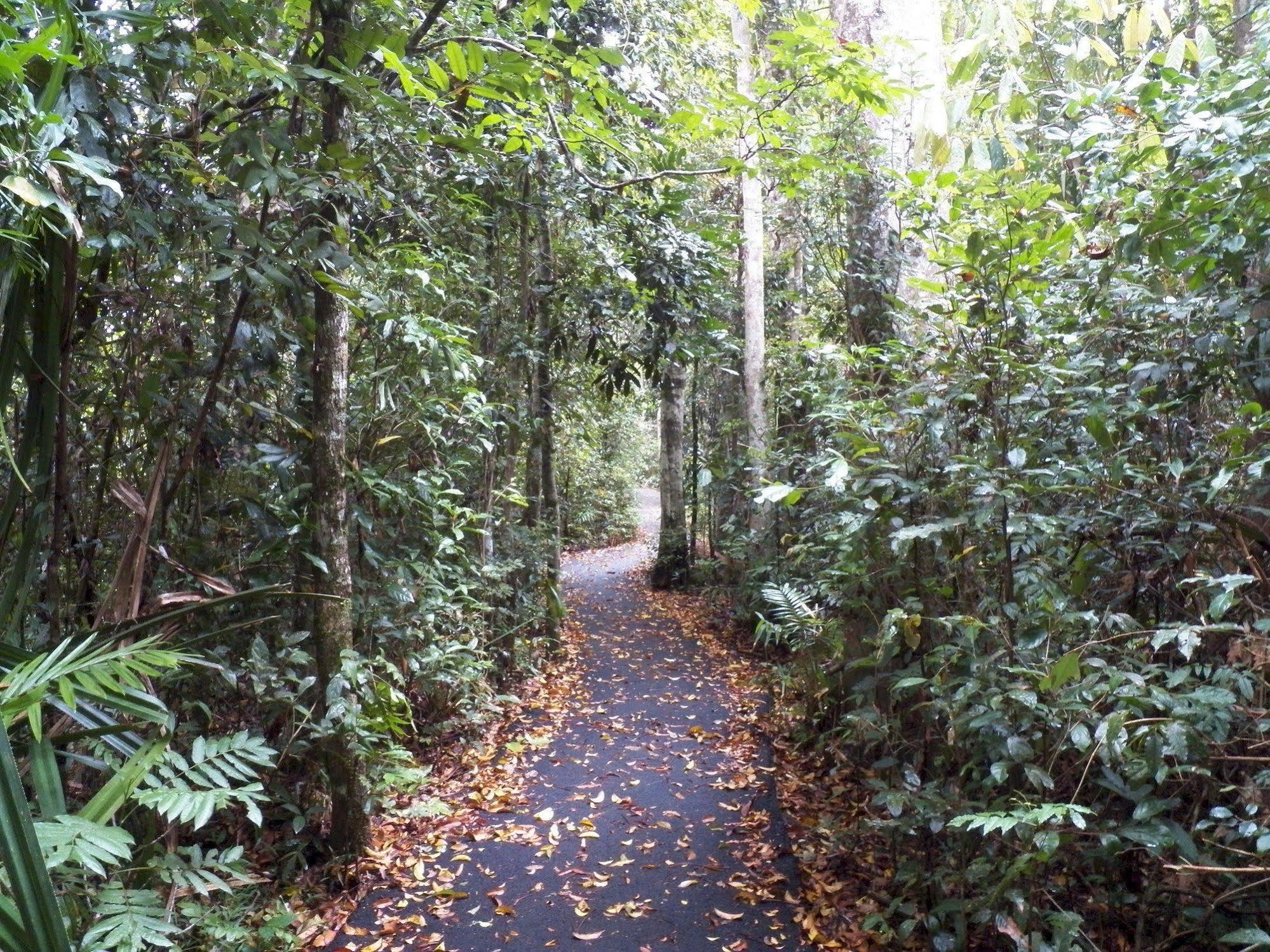 Lake Eacham Tourist Park & Cabins Esterno foto