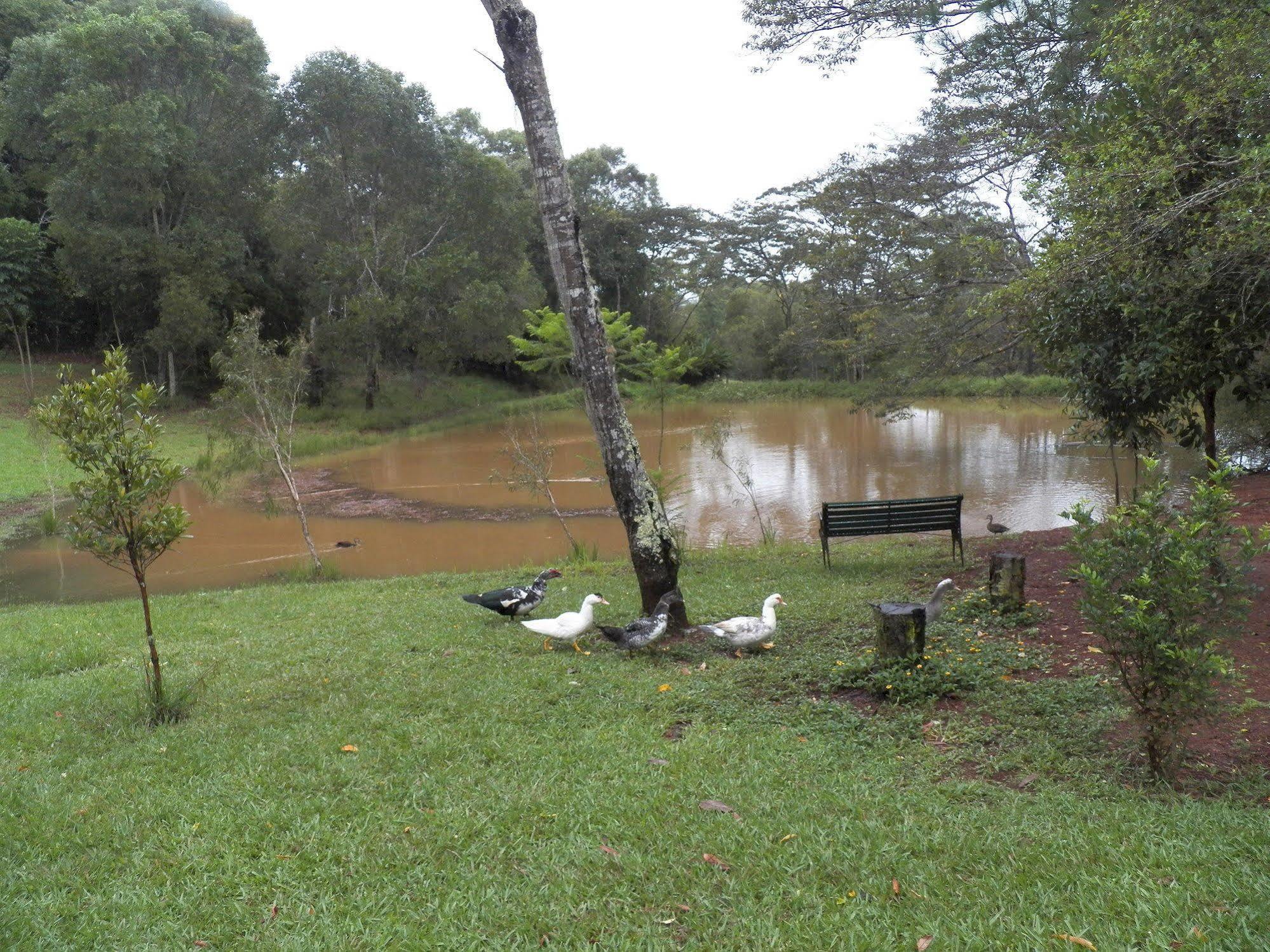Lake Eacham Tourist Park & Cabins Esterno foto